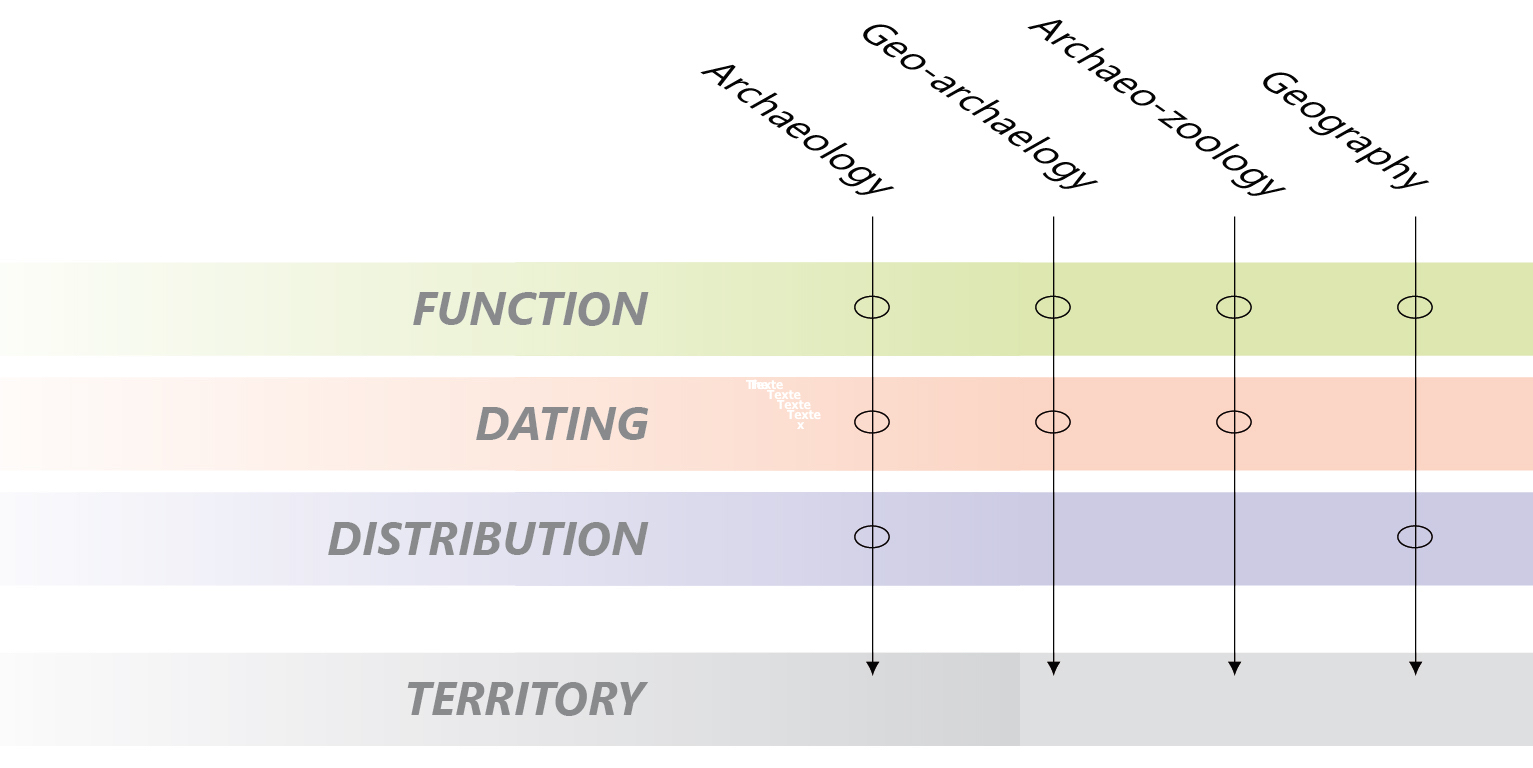 Fig. 1 : The scientific disciplines involved in the project. The three main questions are raised in a crossed way