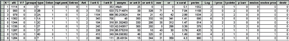 Fig.2 : Excerpts from the attribute table of the kite point feature class containing 24 descriptors: the characteristics are identified or measured on the images, for example the number of compartments, the surface of the enclosure or the length and orientation of the antennae or walls.